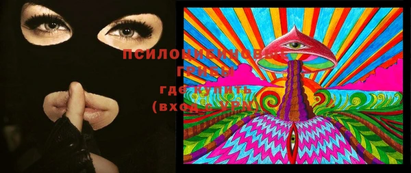 прущие грибы Заволжск
