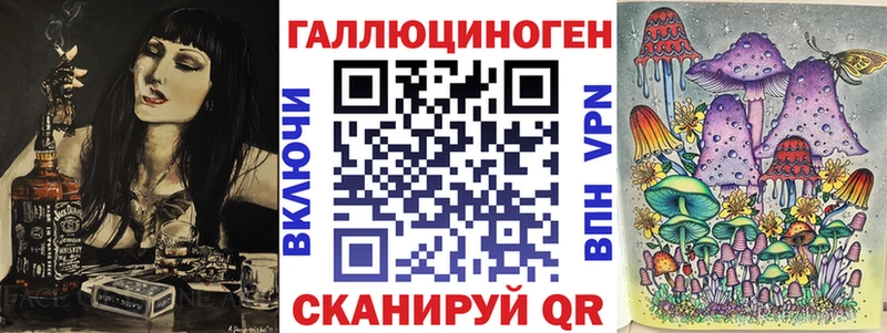 блэк спрут   Истра  Псилоцибиновые грибы Psilocybe 